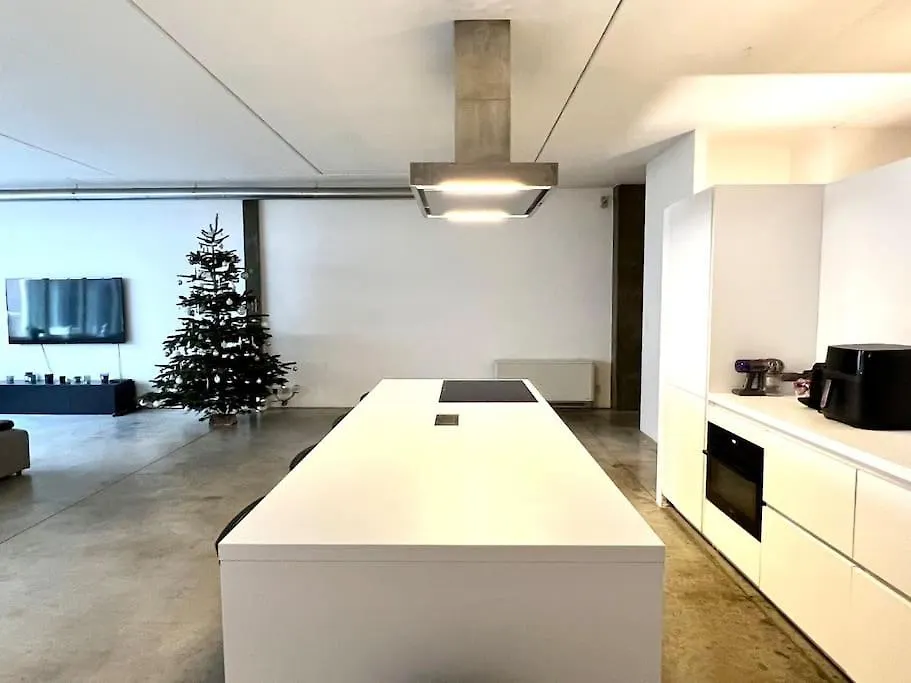 Loft Antwerp - Eilandje Appartement